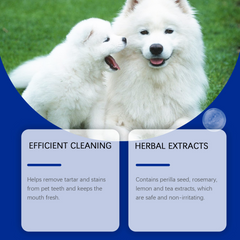 Fresh Breath & Gentle Teeth Cleaning Powder for Dogs (80g Spoon)